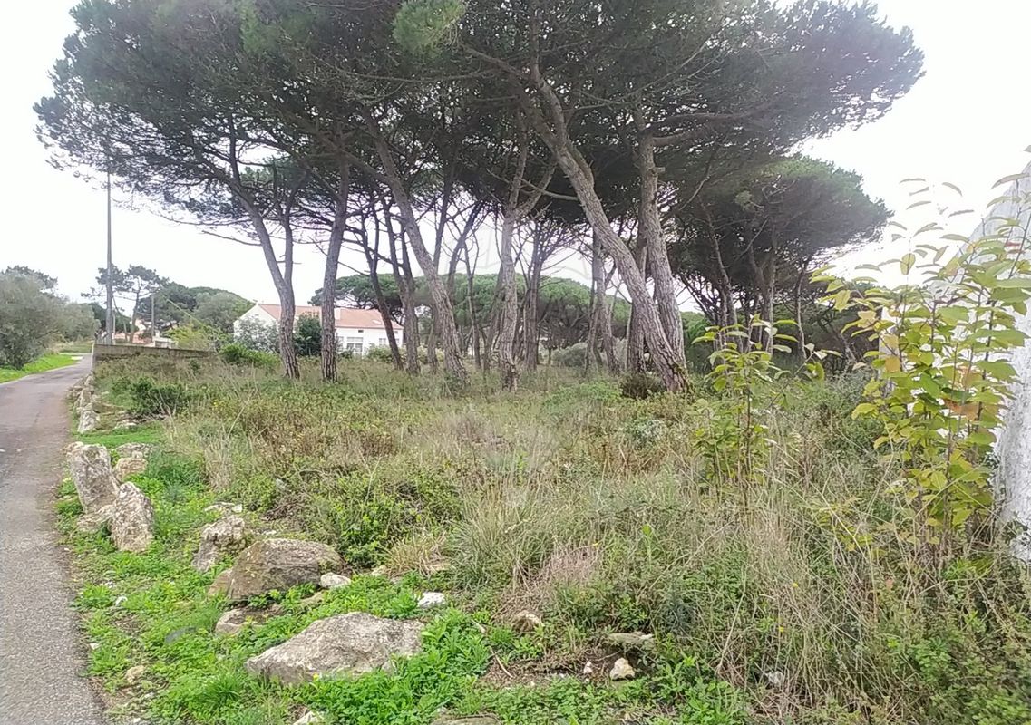 listing-picture-0