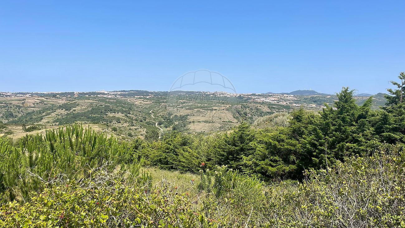 Terreno  à venda em Sintra