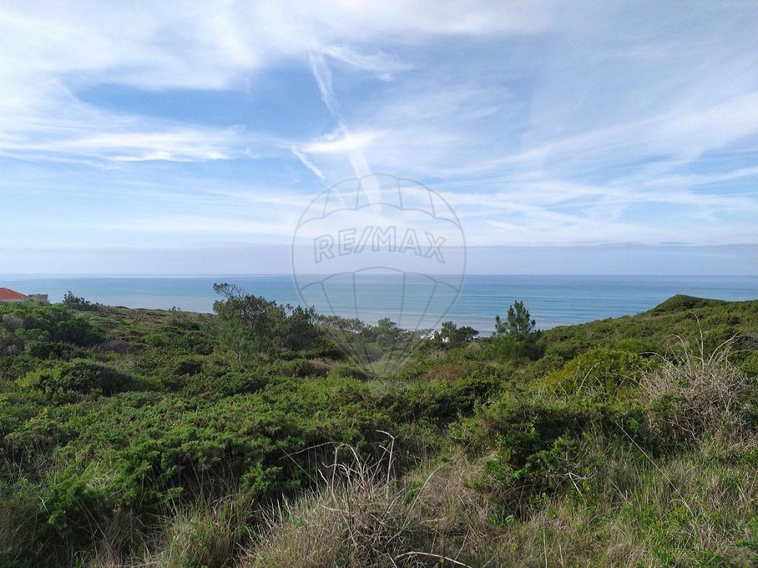 listing-picture-0