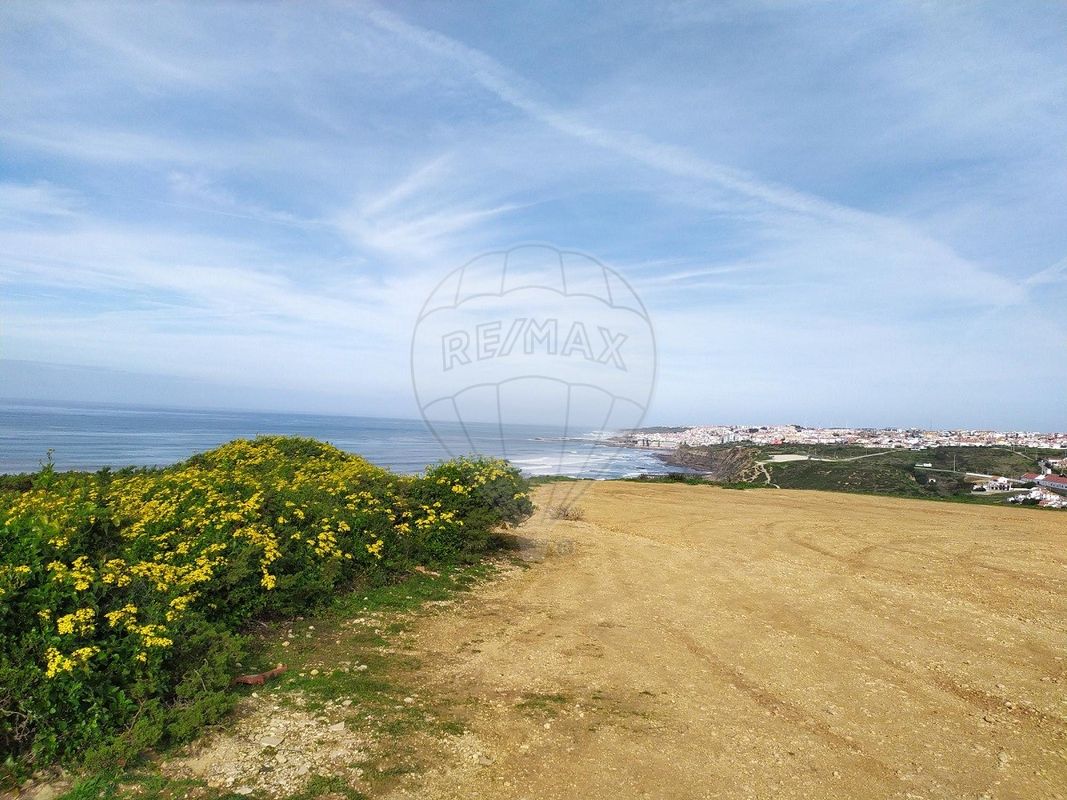 listing-picture-0