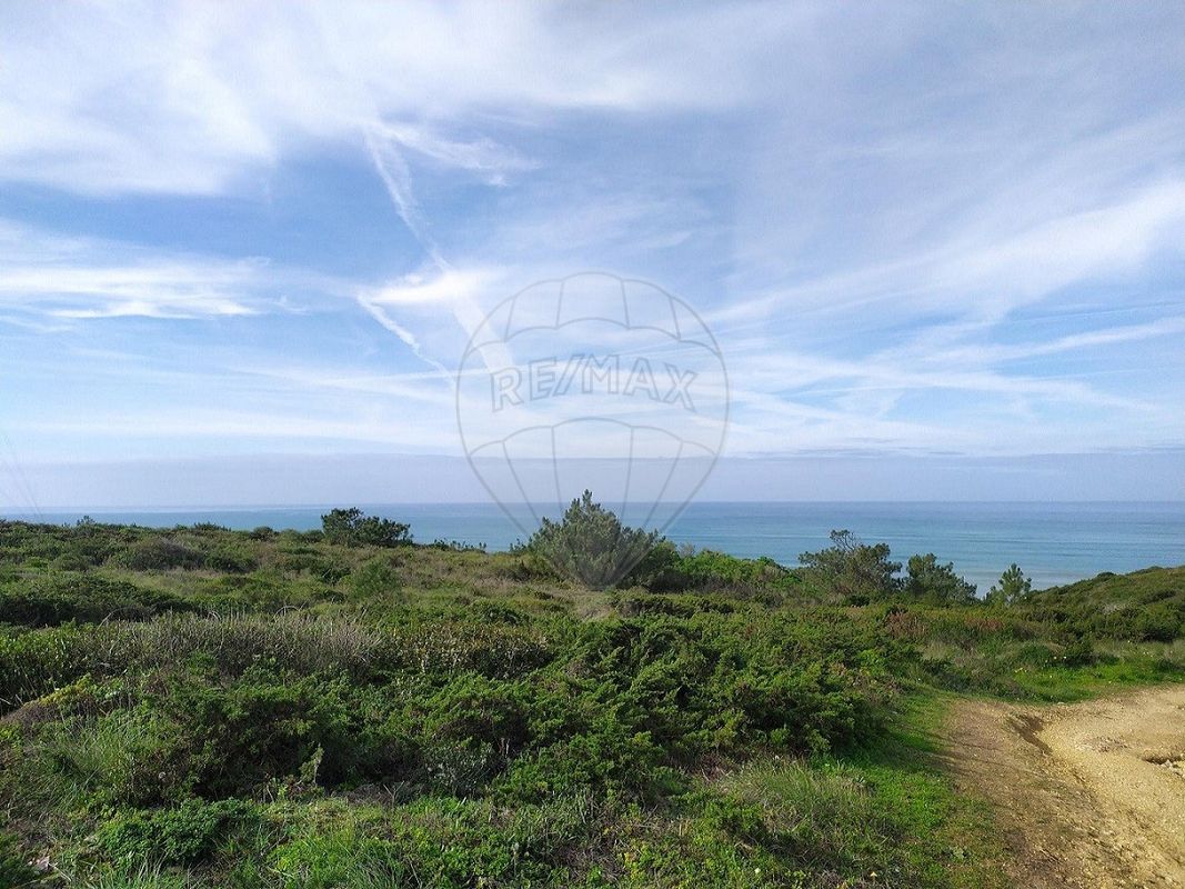 listing-picture-0