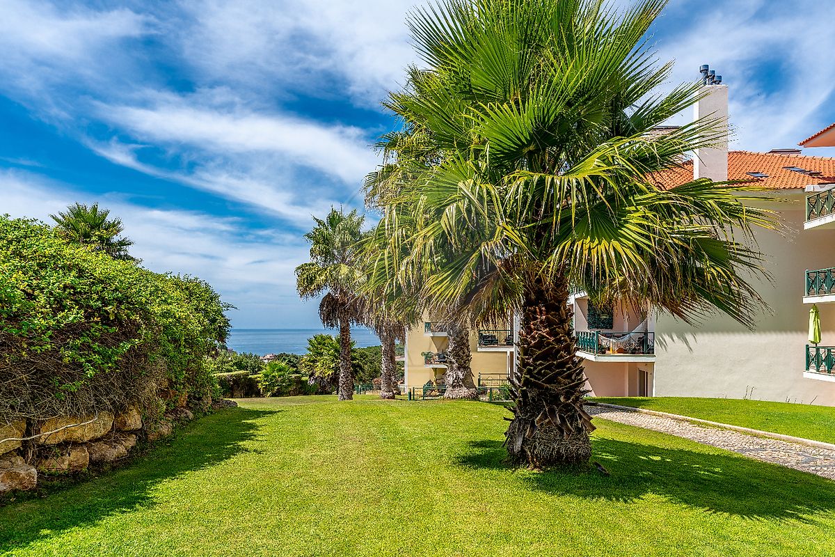 listing-picture-0