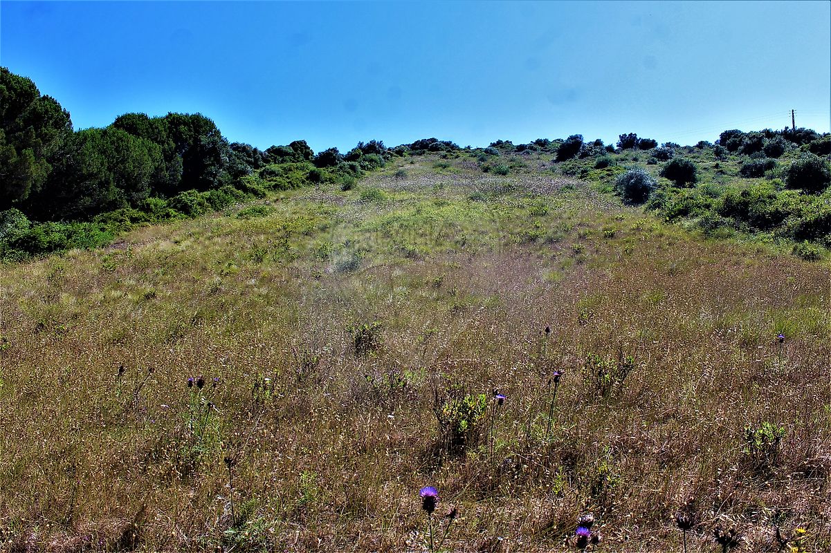 Terreno  à venda em Sintra