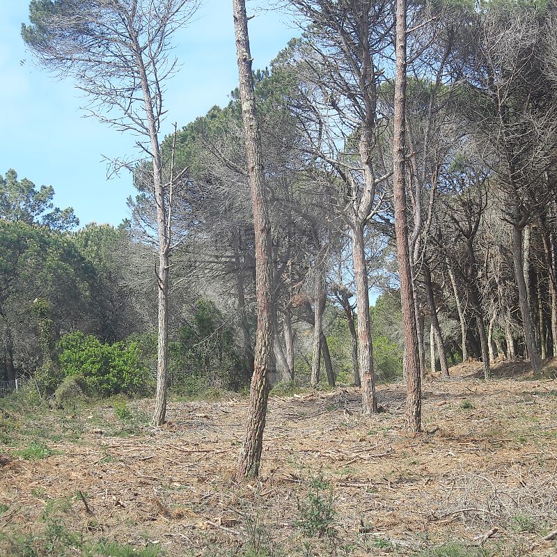 Apartamento à venda em Sintra