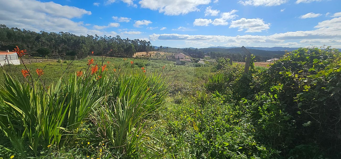 Land for sale in Torres Vedras, Portugal — €400,000