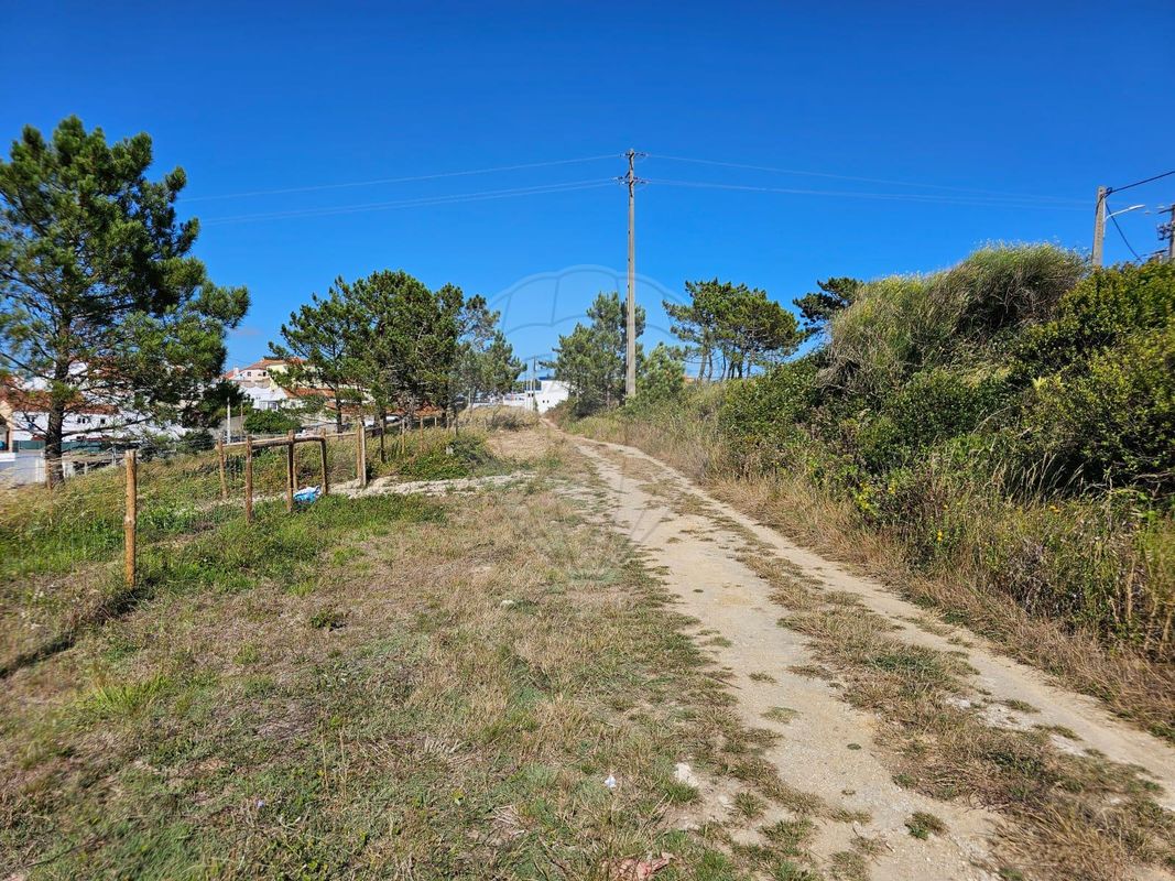listing-picture-0