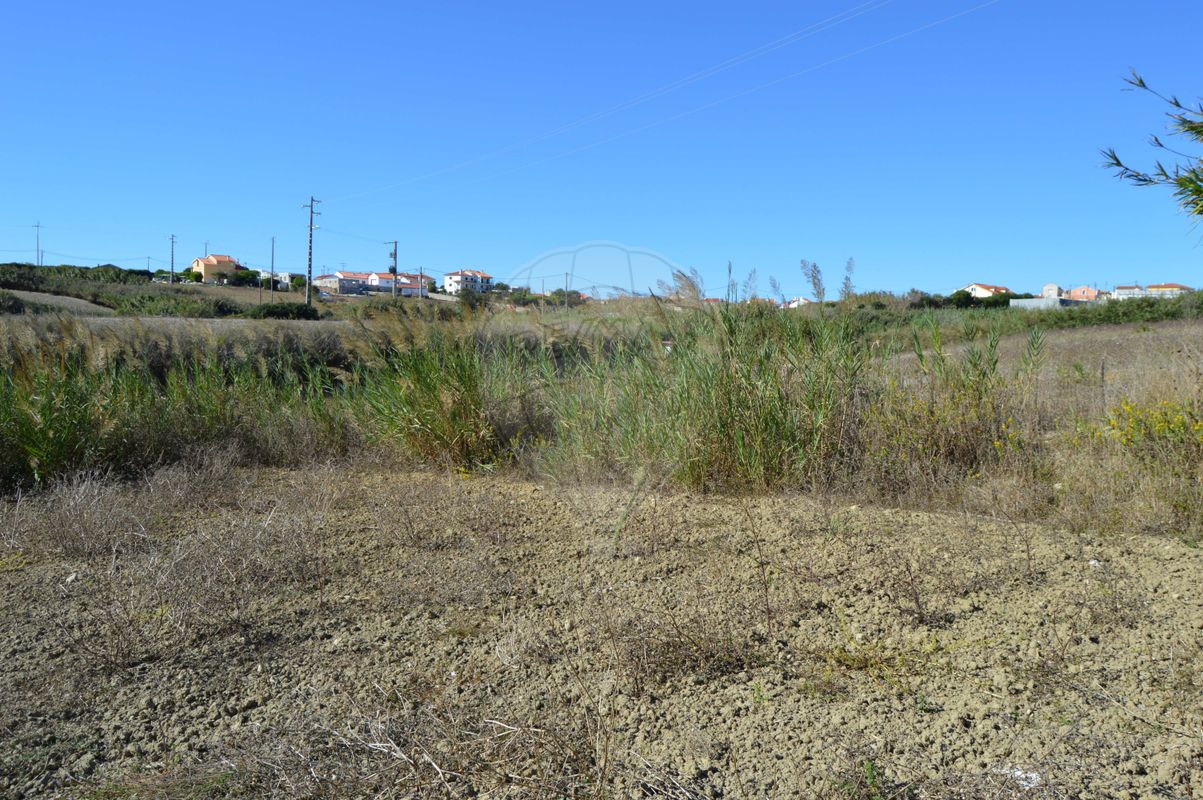 listing-picture-0