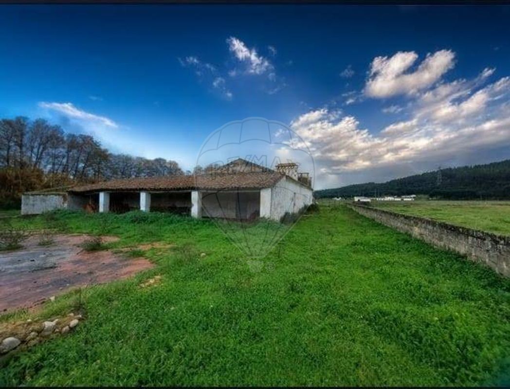 listing-picture-0