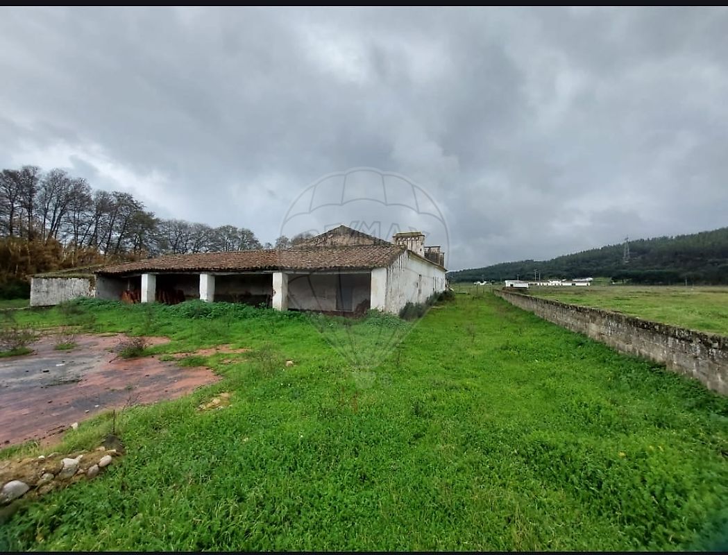listing-picture-0