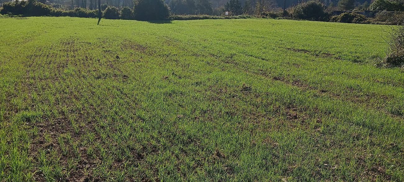 Terreno  à venda em Sintra