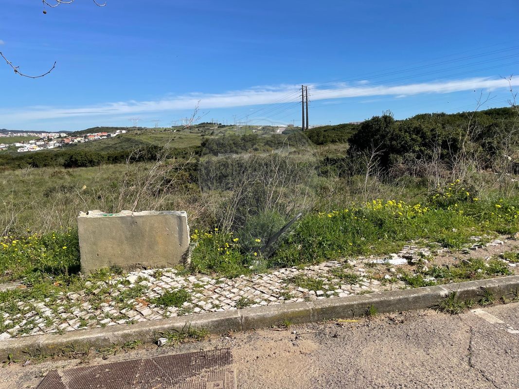 listing-picture-0