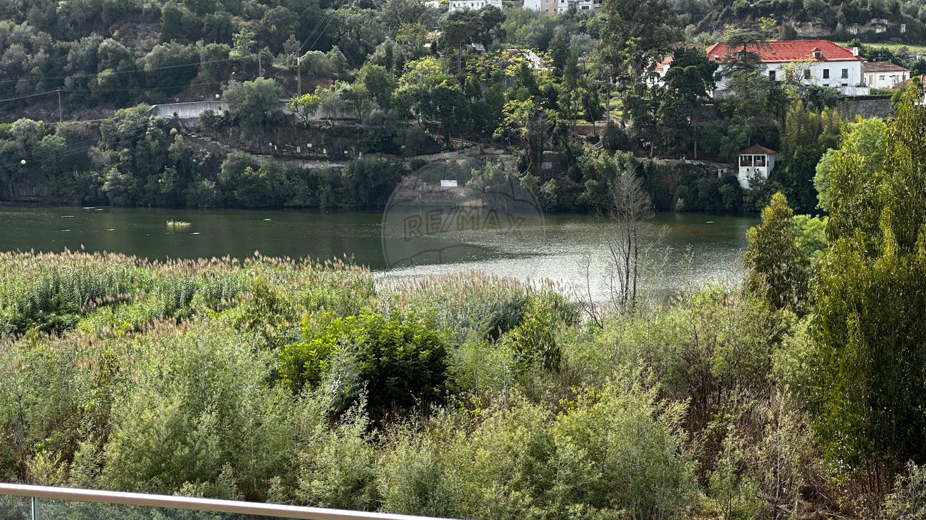 listing 125871065-50 picture-0