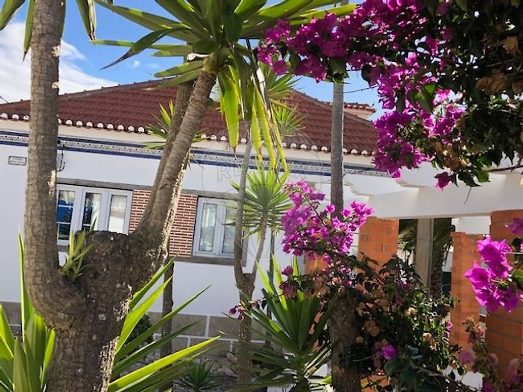 listing 125871078-39 picture-0