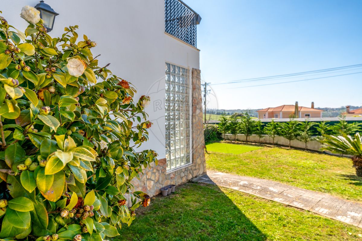 listing 125871049-105 picture-0