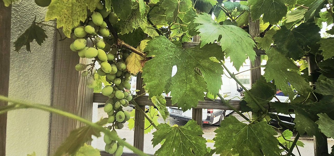 listing 125871099-39 picture-0