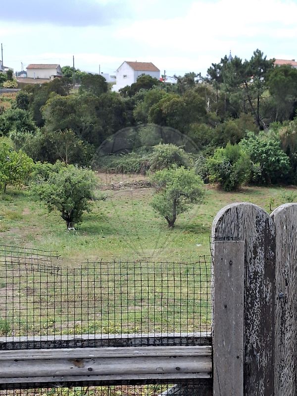 Terreno  para venda