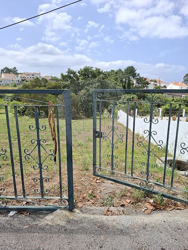 Terreno  para venda