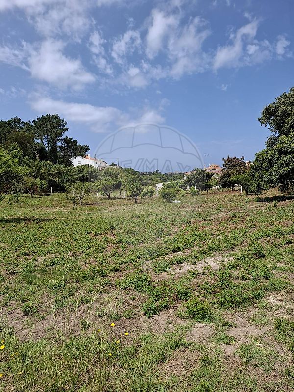 Terreno à venda em Mafra