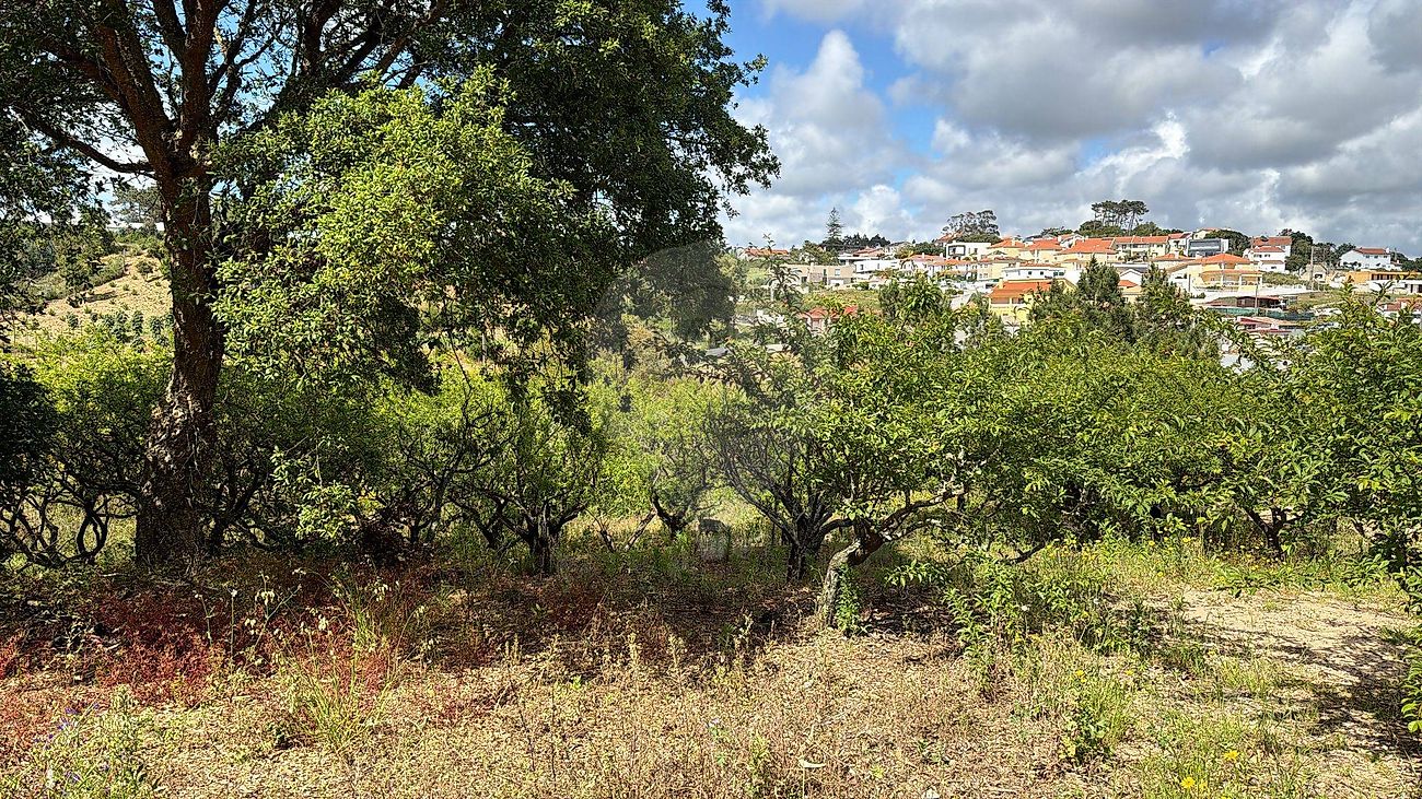 Terreno à venda em Mafra