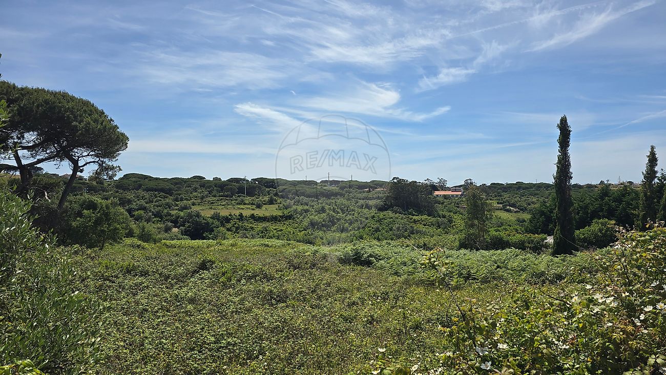 Terreno à venda em Sintra