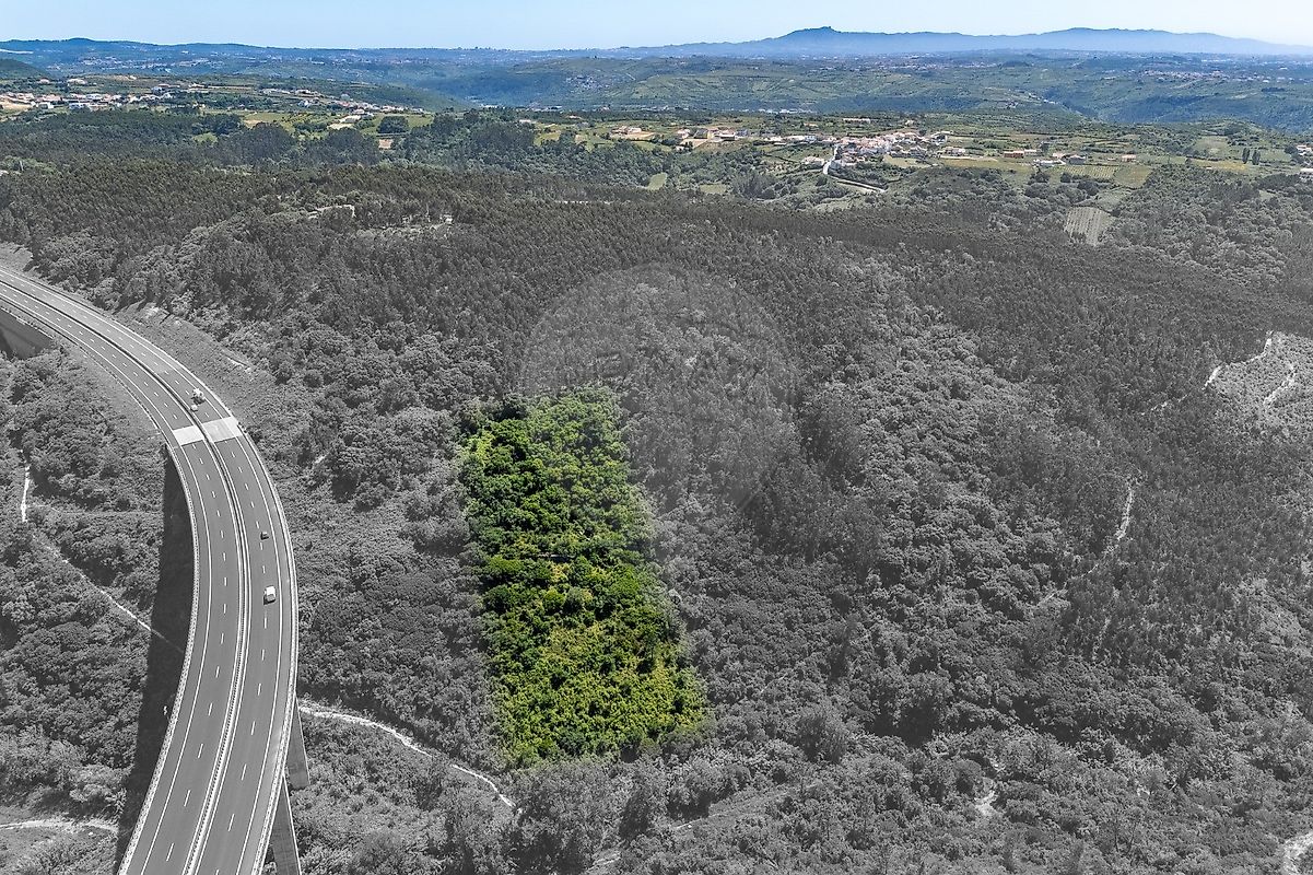 Terreno à venda em Mafra