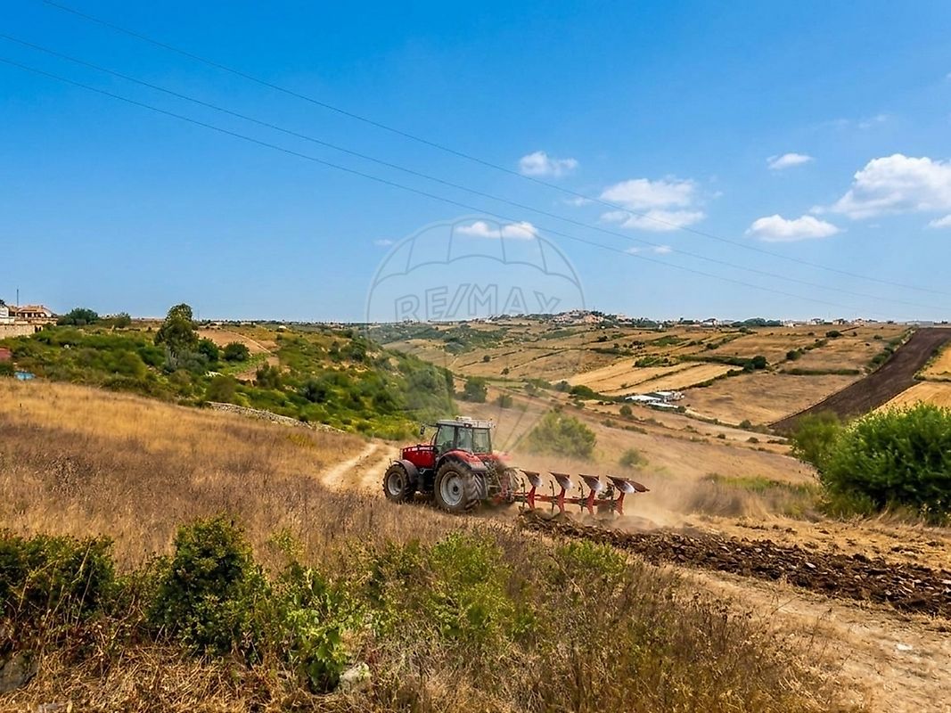 Terreno - São João das Lampas e Terrugem, Sintra, Lisboa