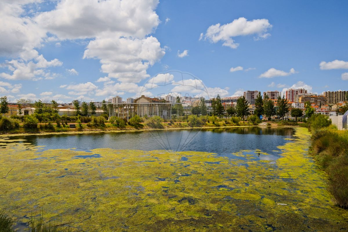 listing 125881005-45 picture-0