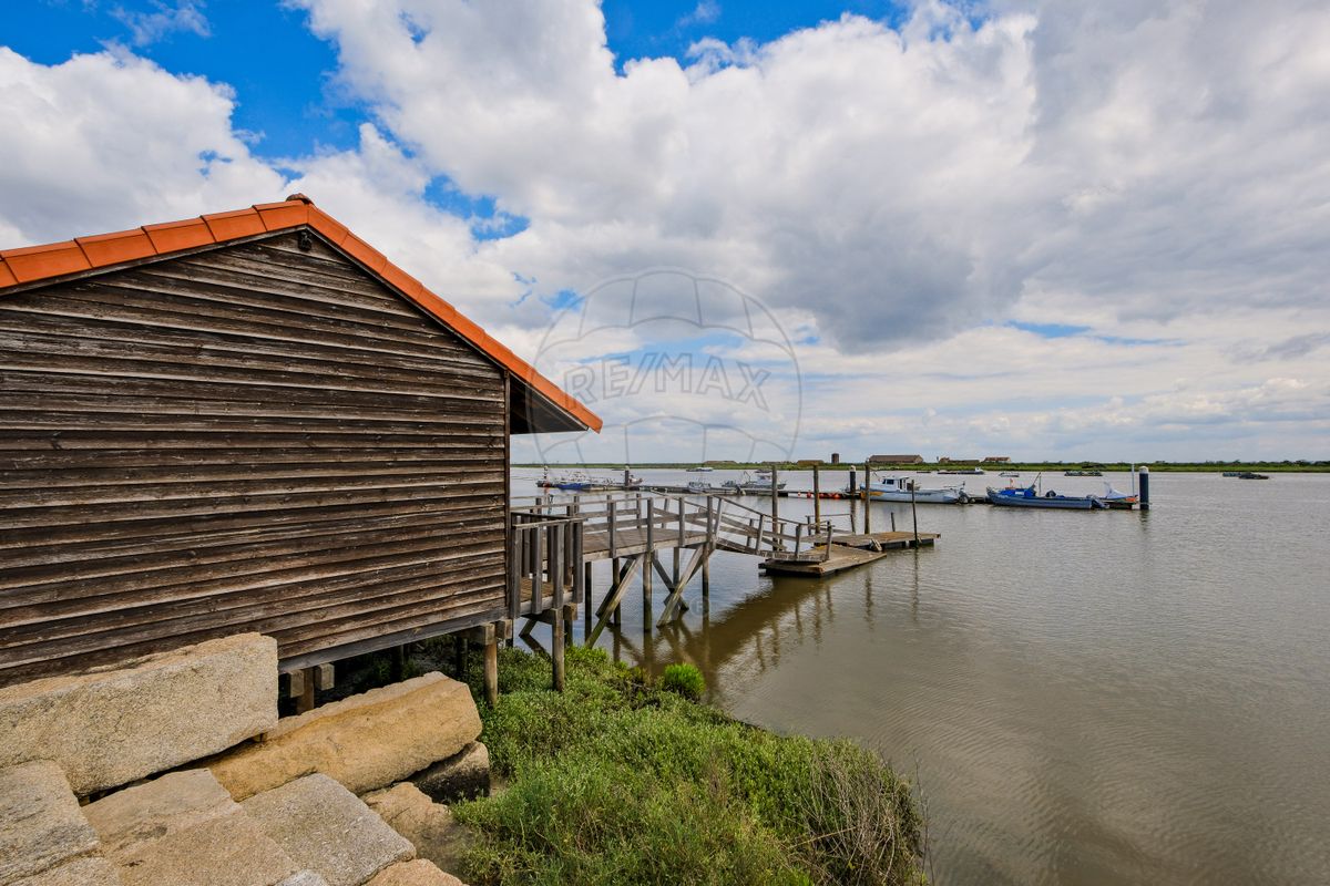 listing 125881005-45 picture-0