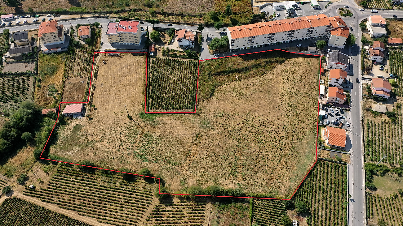 Land for sale in Alijó, Portugal — €745,000