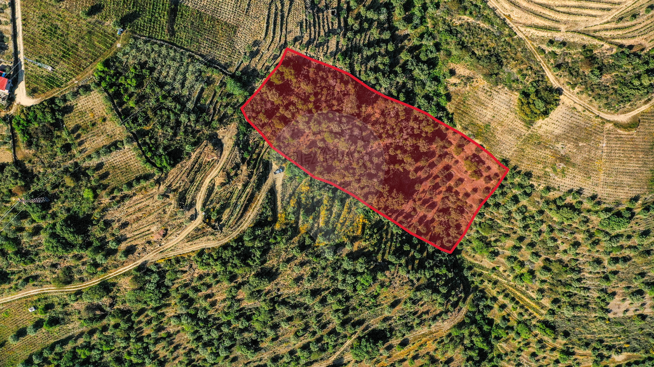 Terreno  para venda