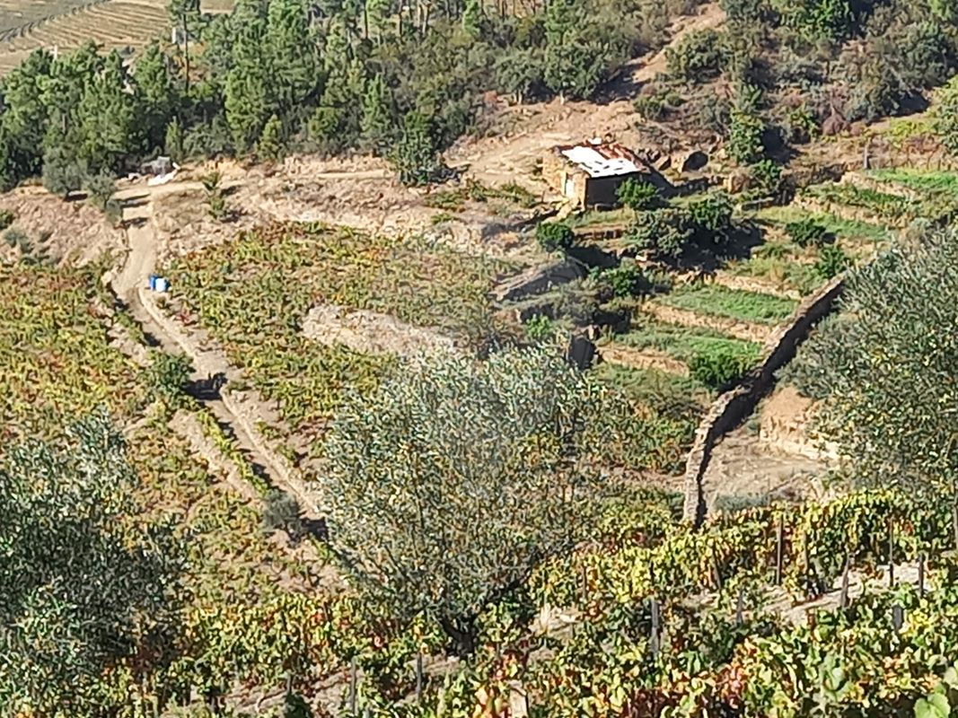 Terreno  para venda