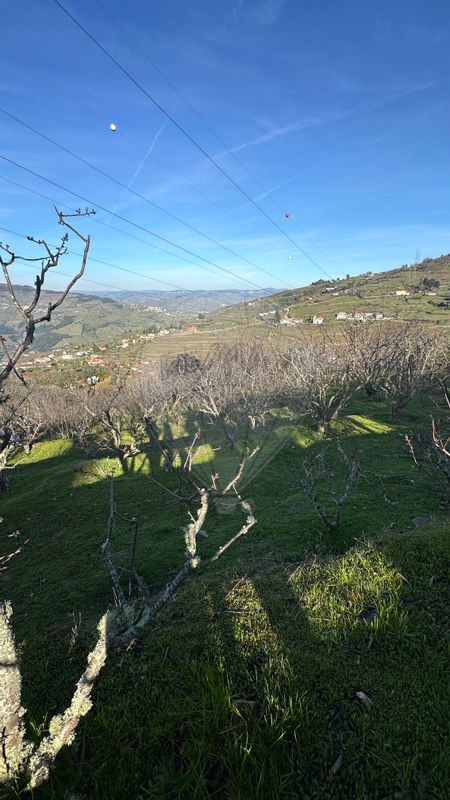 Terreno para venda