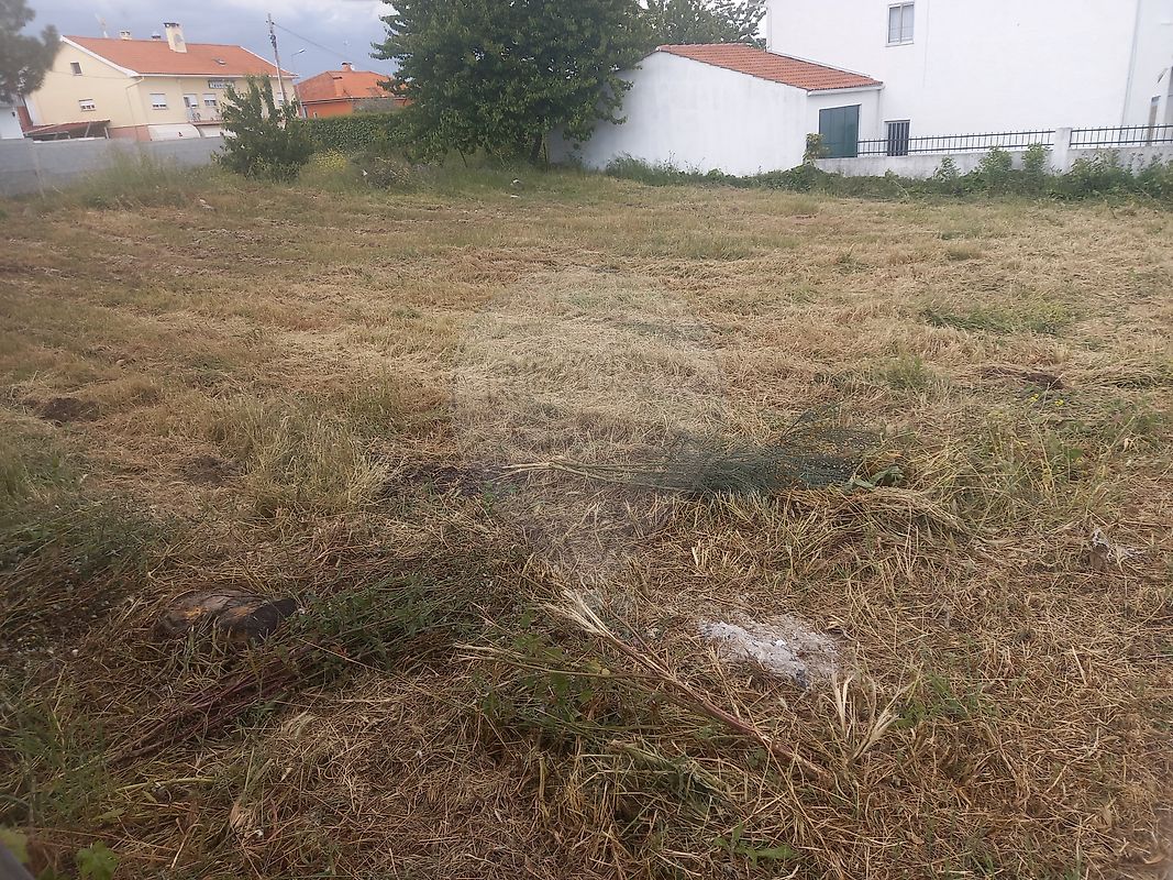 listing 125891047-28 picture-0