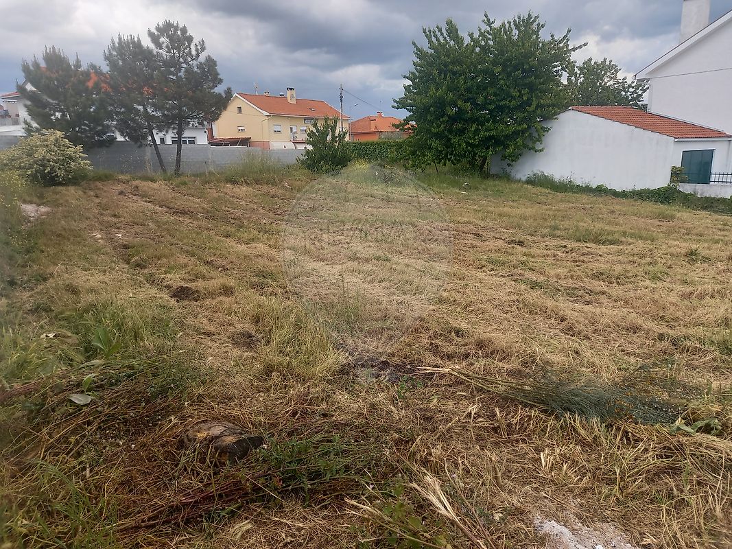 listing 125891047-28 picture-0