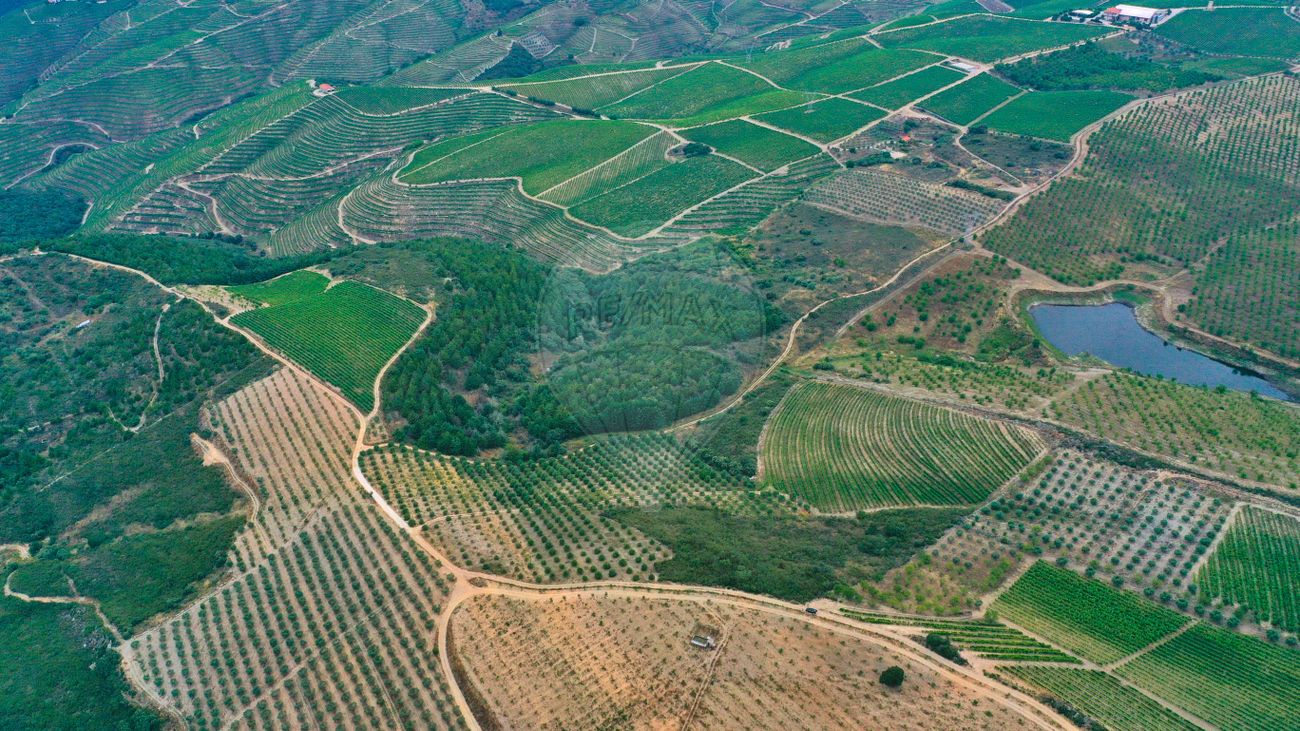 Terreno para venda