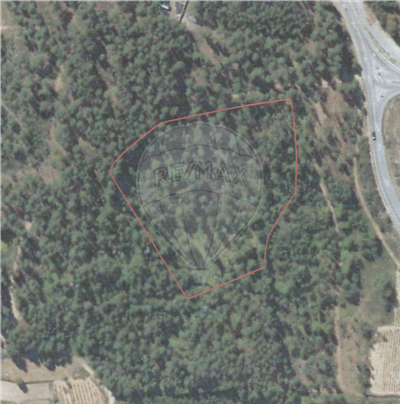 Terreno  para venda
