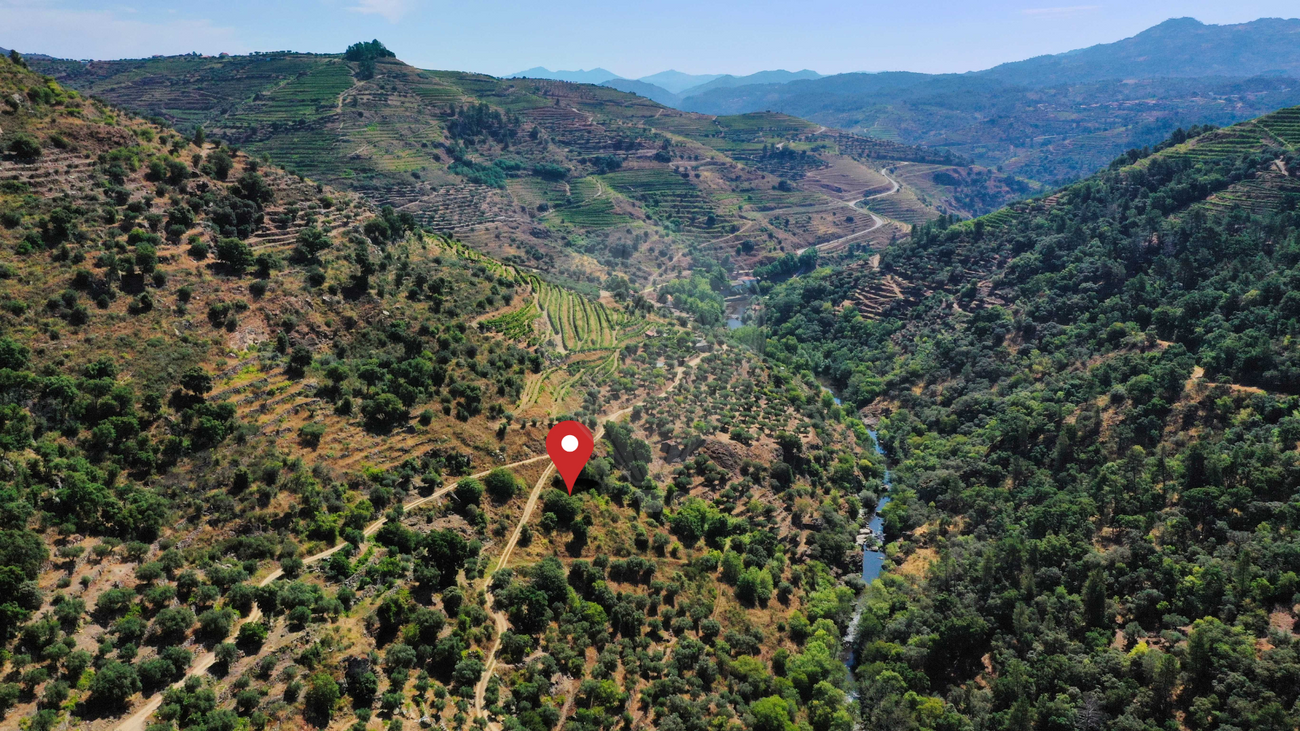 Terreno  para venda