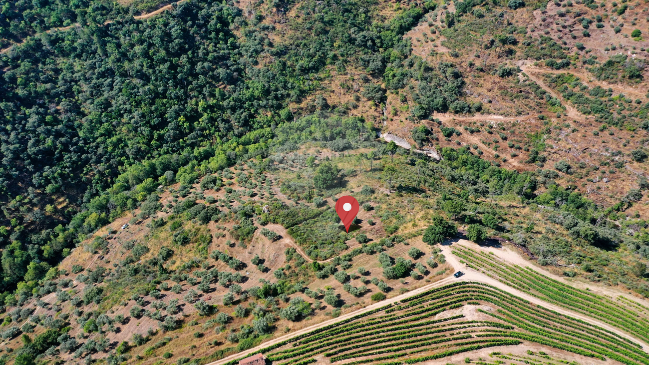 Terreno  para venda