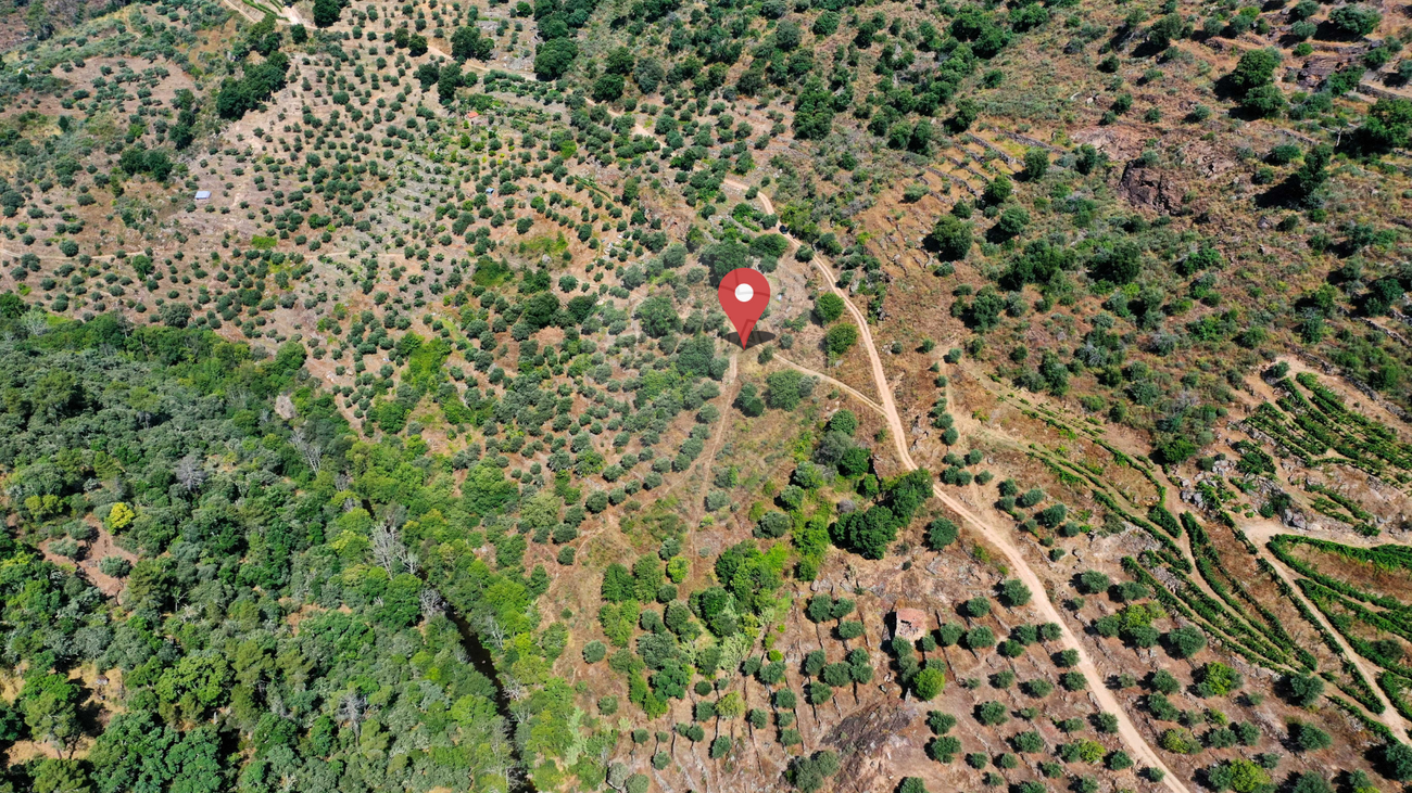 Terreno  para venda