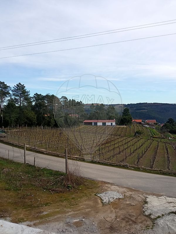 Terreno à venda em Vila Real