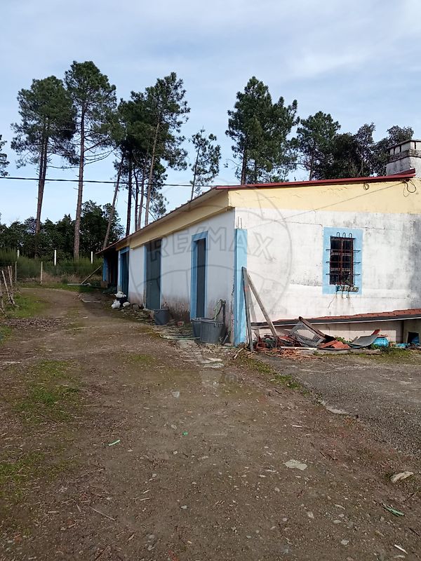Terreno - Folhadela, Vila Real, Vila Real