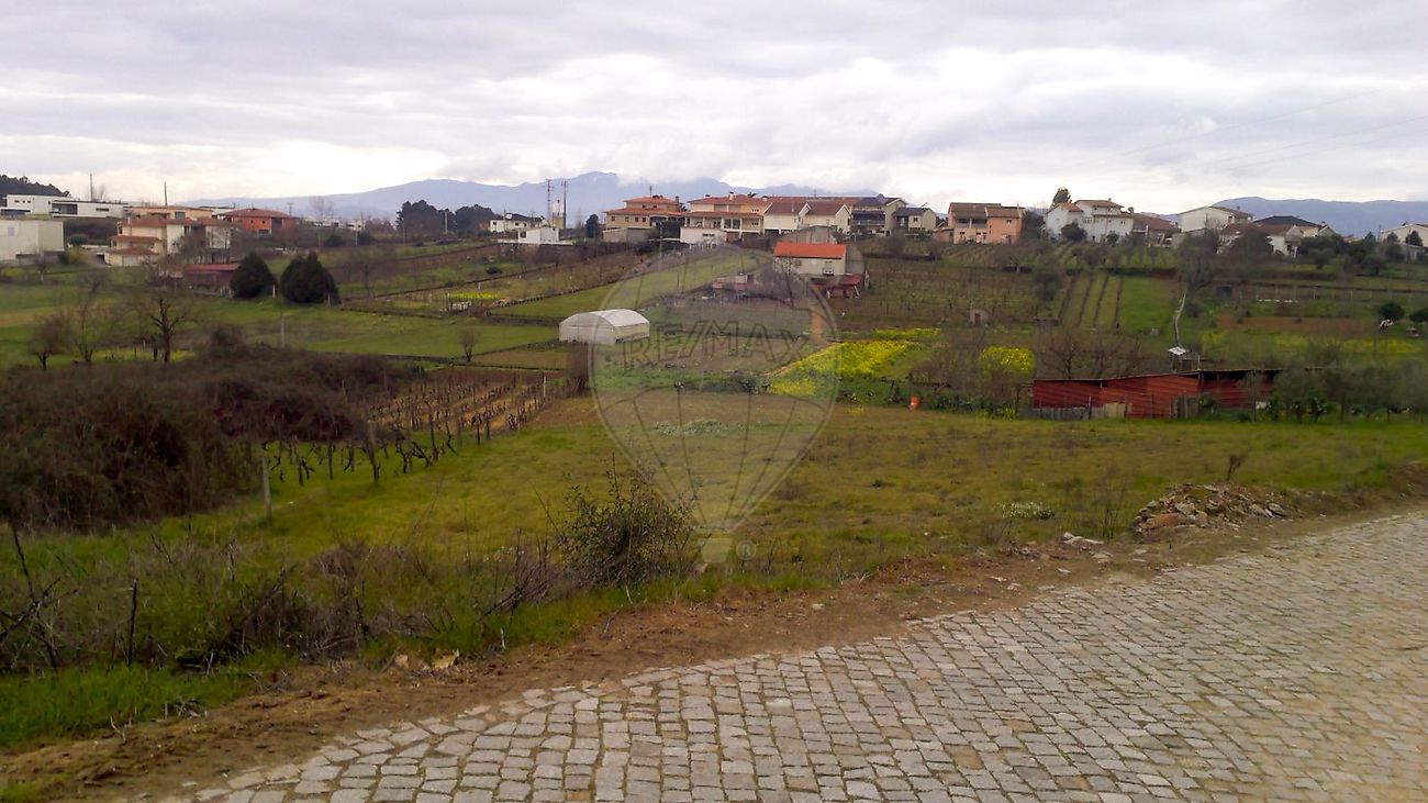Terreno - Constantim e Vale de Nogueiras, Vila Real, Vila Real