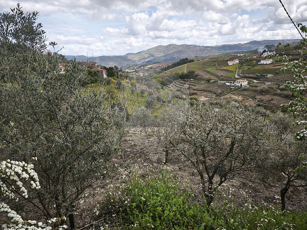 Terreno para venda