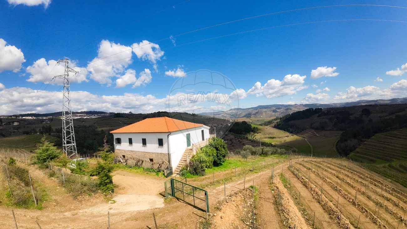 listing-picture-0