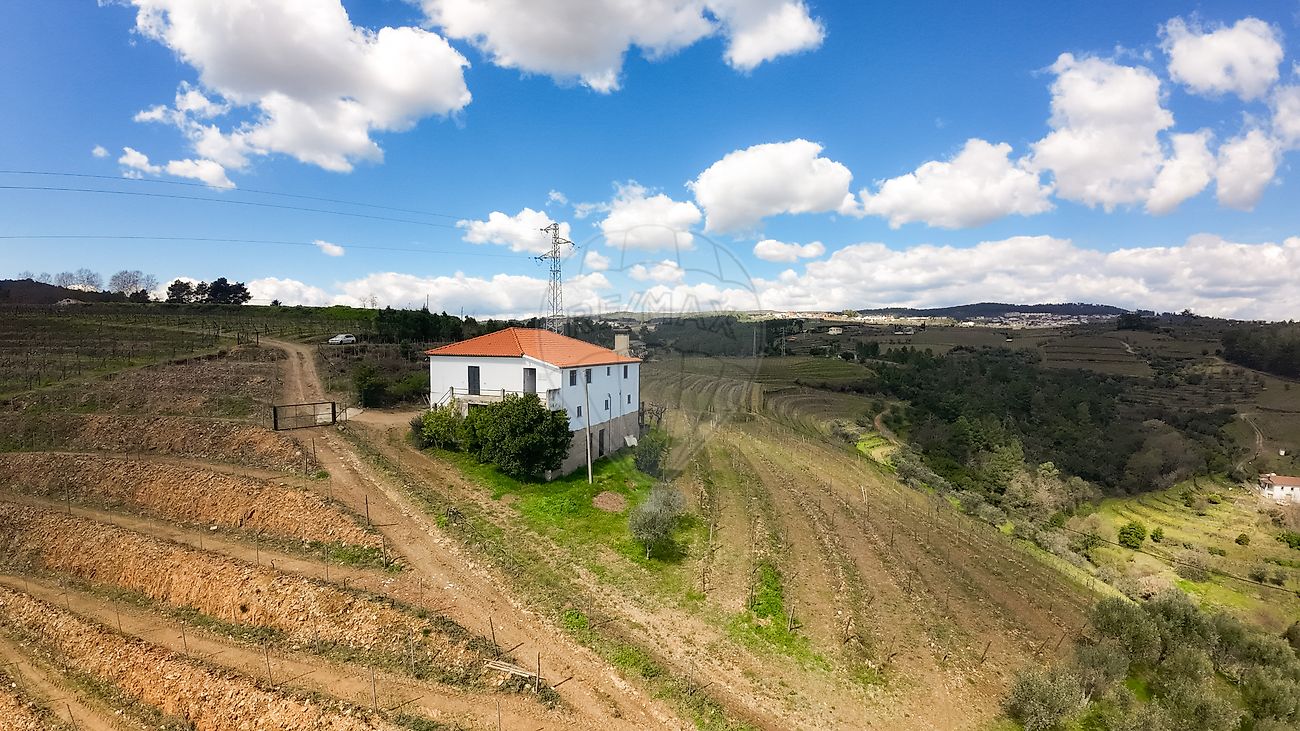 Quinta T5 para venda