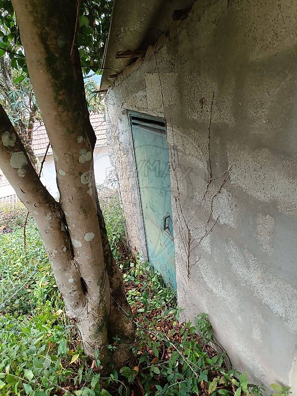 Moradia T3 à venda em Cerva e Limões, Ribeira de Pena — foto 15