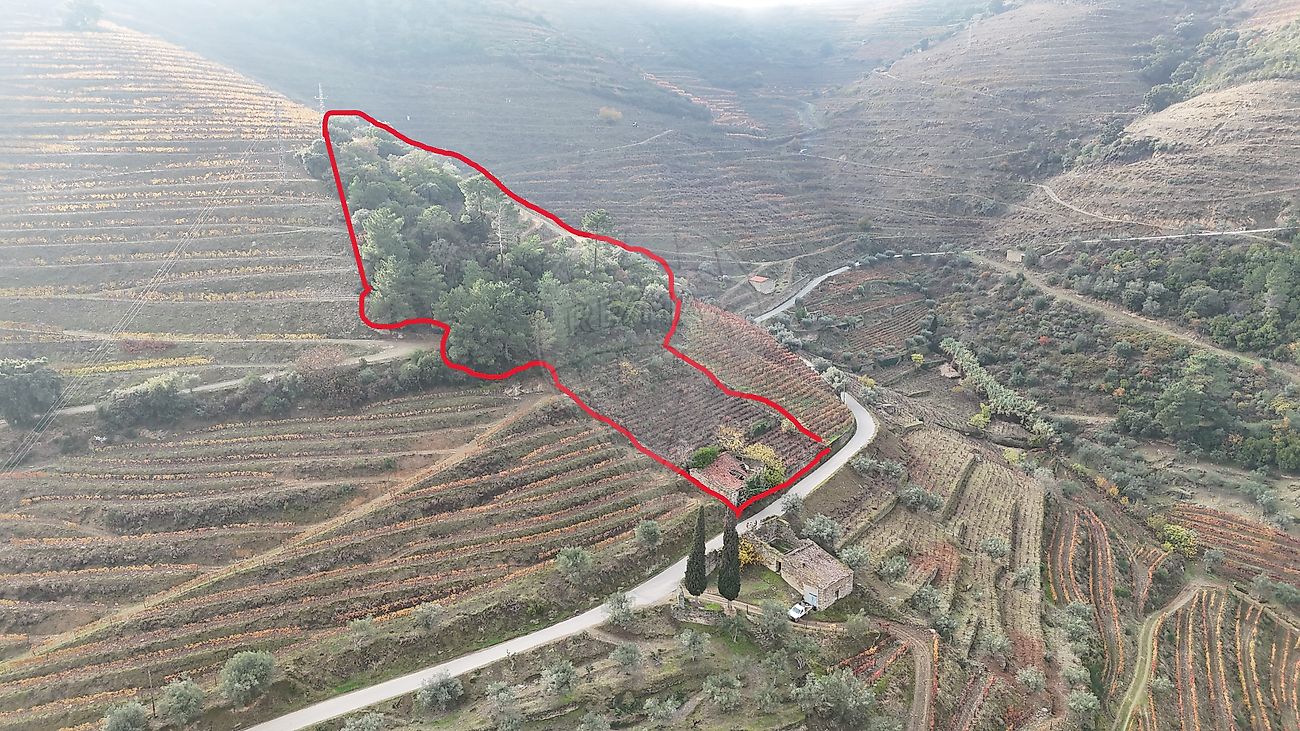 Terreno - Vale de Mendiz, Casal de Loivos e Vilarinho de Cotas, Alijó, Vila Real