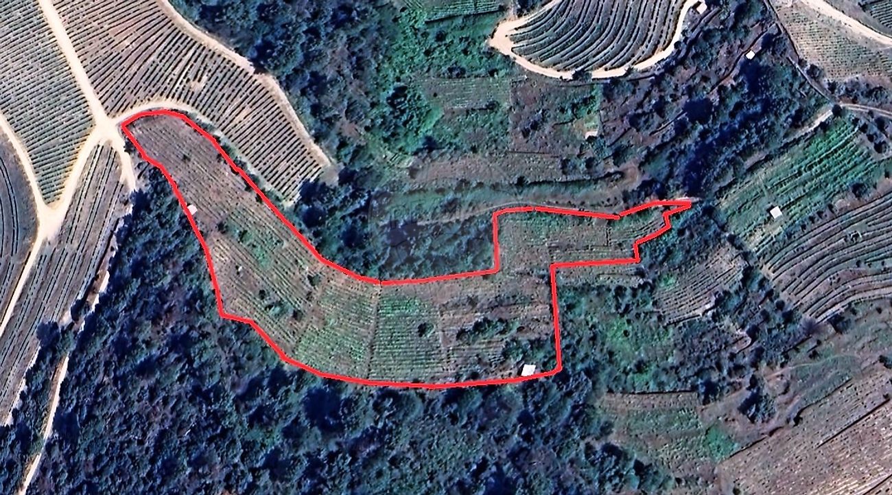 Terreno - Vale de Mendiz, Casal de Loivos e Vilarinho de Cotas, Alijó, Vila Real