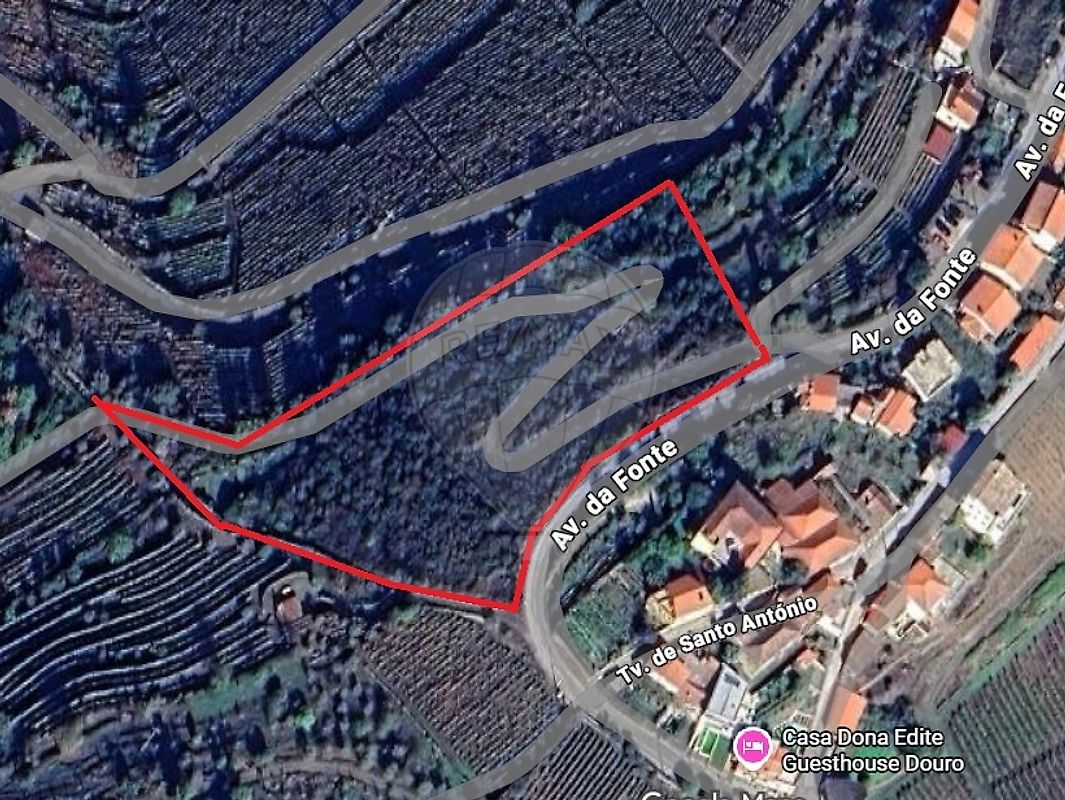 Terreno - Vale de Mendiz, Casal de Loivos e Vilarinho de Cotas, Alijó, Vila Real