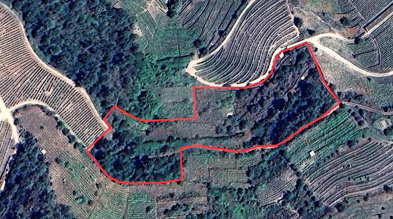 Terreno - Vale de Mendiz, Casal de Loivos e Vilarinho de Cotas, Alijó, Vila Real